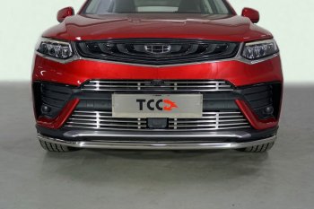 Защита переднего бампера нижняя 42,4 мм ТСС Тюнинг Geely Tugella  FY11,HPBA4 (2019-2025) дорестайлинг, рестайлинг (нержавейка)