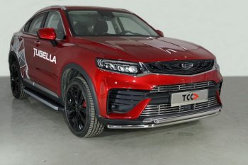 Защита переднего бампера нижняя двойная 42,4*42,4 мм ТСС Тюнинг Geely Tugella  FY11,HPBA4 (2019-2025) дорестайлинг, рестайлинг (нержавейка)