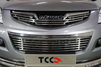 Нижняя декоративная вставка в бампер ТСС Тюнинг Haval H5 рестайлинг (2020-2023) (d 12 мм)