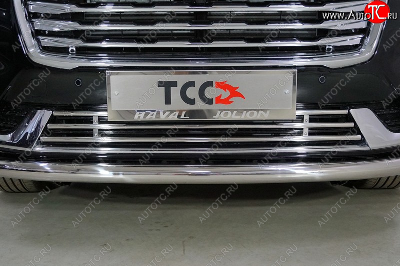 4 549 р. Нижняя декоративная вставка в бампер ТСС Тюнинг  Haval Jolion (2020-2024) дорестайлинг (d 16 мм )  с доставкой в г. Керчь