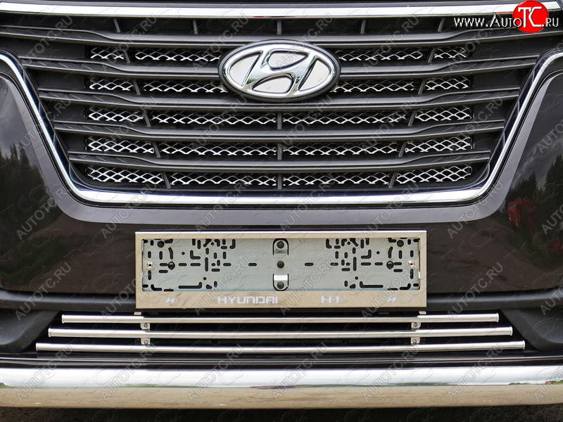 7 349 р. Декоративная вставка переднего бампера ТСС Тюнинг  Hyundai Starex/Grand Starex/H1  TQ (2017-2022) 2-ой рестайлинг (d 16 мм)  с доставкой в г. Керчь
