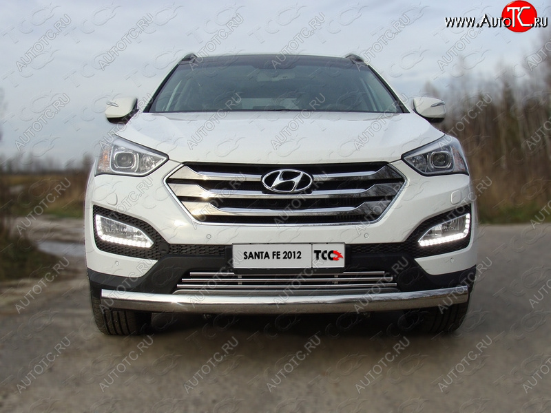 7 349 р. Декоративная вставка переднего бампера ТСС Тюнинг  Hyundai Santa Fe  DM (2012-2019) дорестайлинг, рестайлинг (d 16 мм)  с доставкой в г. Керчь