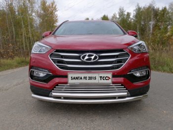 Декоративная вставка переднего бампера (Premium) ТСС Тюнинг Hyundai Santa Fe  DM (2015-2019) рестайлинг (d 16 мм)