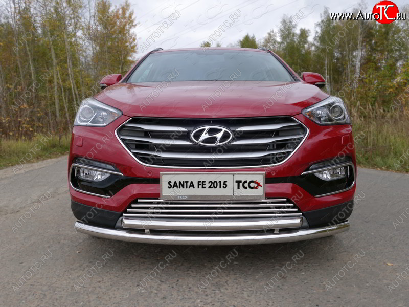 8 799 р. Декоративная вставка переднего бампера (Premium) ТСС Тюнинг  Hyundai Santa Fe  DM (2015-2019) рестайлинг (d 16 мм)  с доставкой в г. Керчь