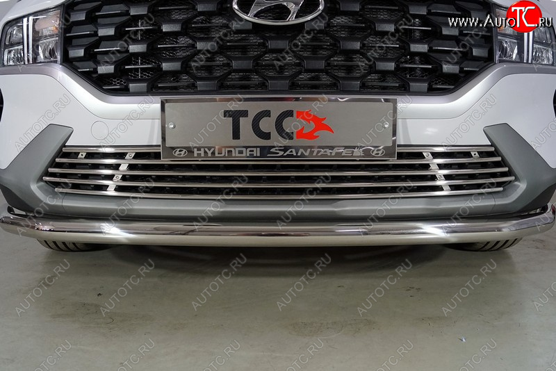 8 699 р. Нижняя декоративная вставка в бампер ТСС Тюнинг  Hyundai Santa Fe  TM (2020-2022) рестайлинг (d 12 мм)  с доставкой в г. Керчь