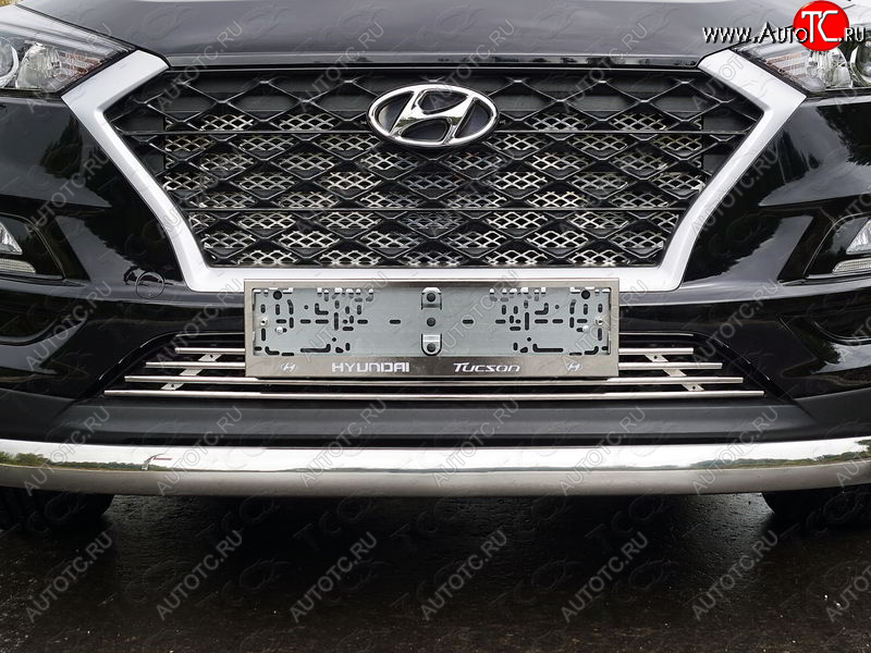 4 999 р. Нижняя декоративная вставка в бампер ТСС Тюнинг  Hyundai Tucson  TL (2018-2021) рестайлинг (d 12 мм)  с доставкой в г. Керчь