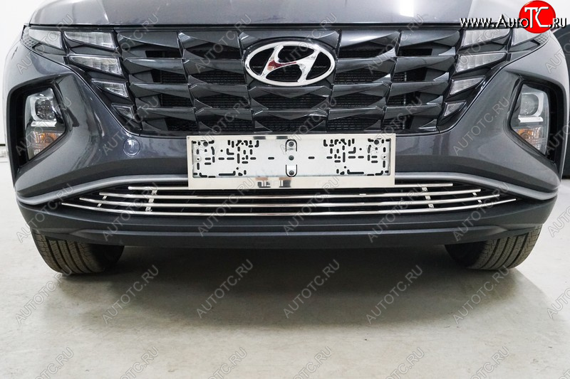 9 349 р. Нижняя декоративная вставка в бампер ТСС Тюнинг  Hyundai Tucson  NX4 (2020-2022) (d 12 мм)  с доставкой в г. Керчь