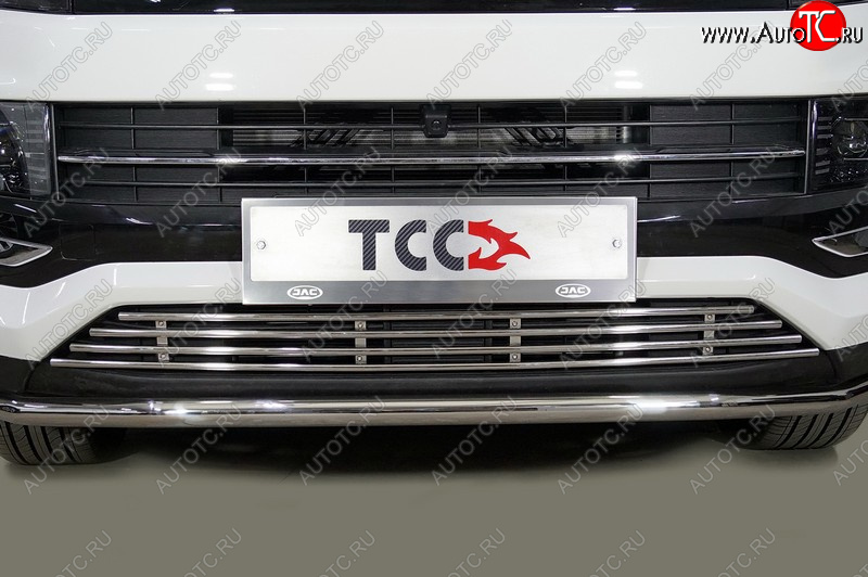 6 549 р. Декоративная вставка переднего бампера ТСС Тюнинг  JAC JS4 (2021-2025) (d 12 мм)  с доставкой в г. Керчь