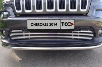 Декоративная вставка переднего бампера ТСС Тюнинг Jeep Cherokee KL дорестайлинг (2014-2017) (d 12 мм)