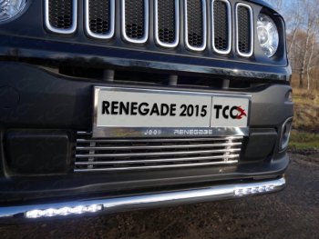 Нижняя декоративная вставка в бампер ТСС Тюнинг Jeep Renegade дорестайлинг (2014-2018) (d 12 мм)