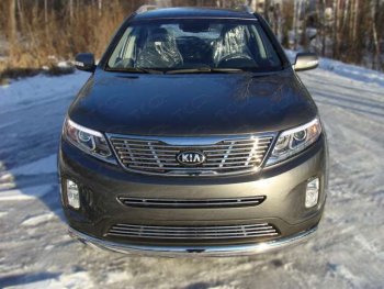 Нижняя декоративная вставка в бампер ТСС Тюнинг KIA Sorento XM рестайлинг (2012-2015) (d 12 мм)
