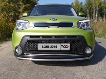 Нижняя декоративная вставка в бампер ТСС Тюнинг KIA Soul  PS (2014-2016) дорестайлинг (d 16 мм)