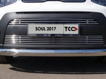Нижняя декоративная вставка в бампер ТСС Тюнинг KIA Soul  PS (2017-2019) рестайлинг (d 12 мм)