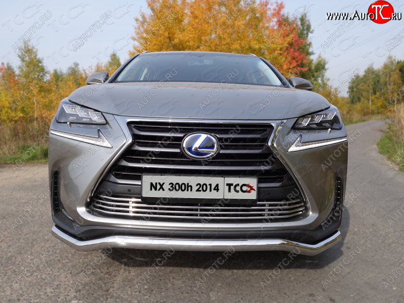 7 349 р. Декоративная вставка переднего бампера (кроме F-Sport) ТСС Тюнинг  Lexus NX300h  Z10 (2014-2017) дорестайлинг (d 12 мм)  с доставкой в г. Керчь