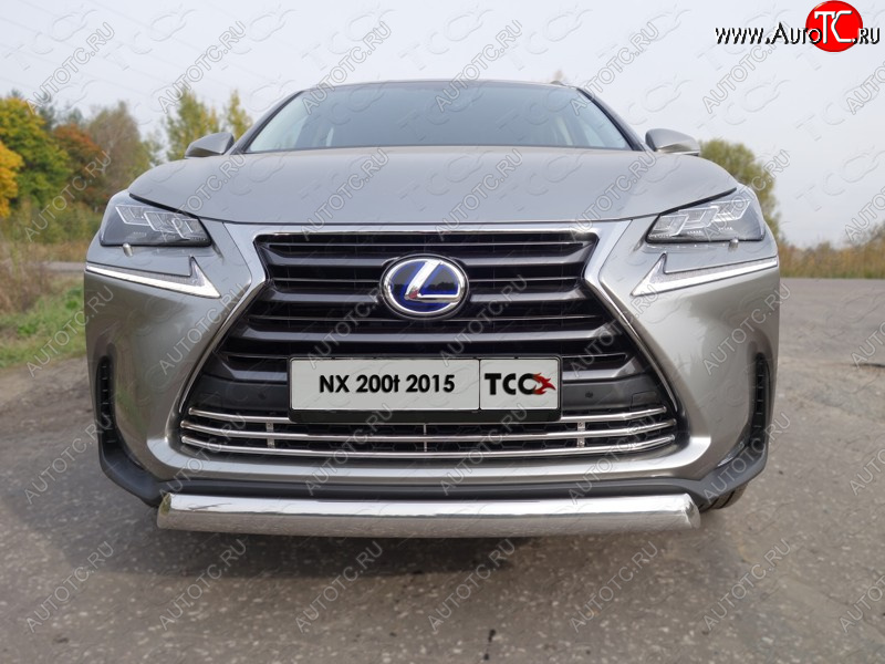 8 799 р. Декоративная вставка переднего бампера (кроме F-Sport) ТСС Тюнинг  Lexus NX200T  Z10 (2014-2017) (d 16 мм)  с доставкой в г. Керчь