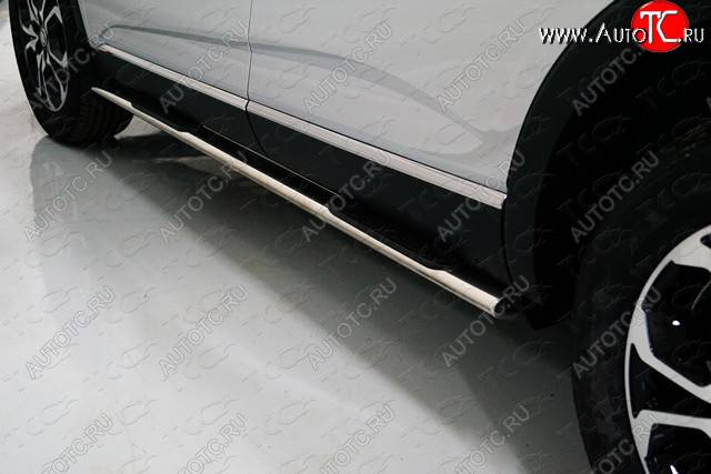 29 749 р. Пороги овальные с накладкой 75х42 мм ТСС Тюнинг  Renault Arkana (2019-2025) (серые)  с доставкой в г. Керчь