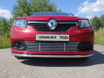 Нижняя декоративная вставка в бампер ТСС Тюнинг Renault Logan 2 дорестайлинг (2014-2018) (d 12 мм)