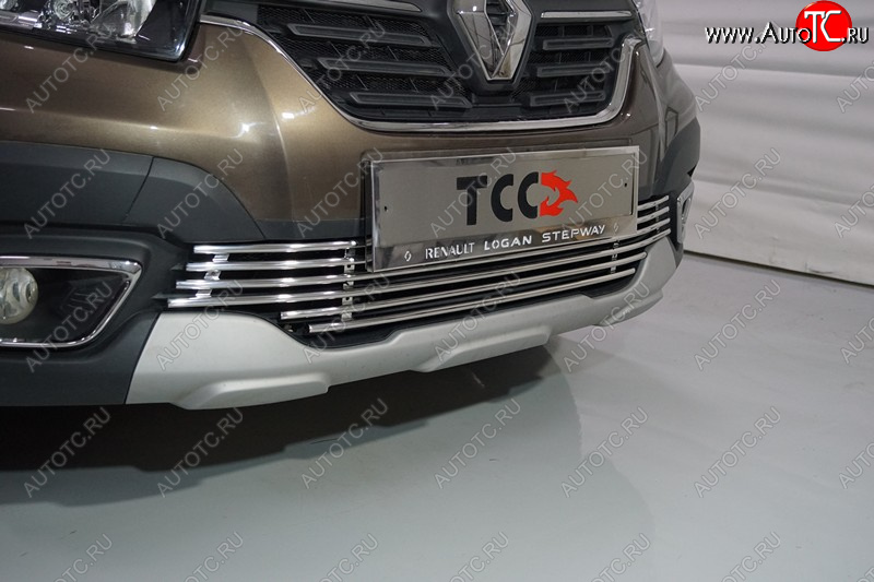 6 549 р. Нижняя декоративная вставка в бампер ТСС Тюнинг  Renault Logan Stepway (2018-2025) (d 12 мм)  с доставкой в г. Керчь