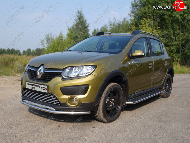 11 749 р. Защита переднего бампера нижняя d42,4 мм ТСС Тюнинг  Renault Sandero Stepway  (B8) (2014-2018) дорестайлинг (нержавейка)  с доставкой в г. Керчь