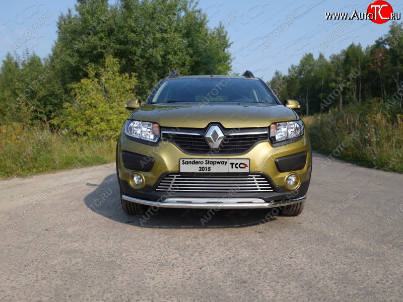 7 349 р. Нижняя декоративная вставка в бампер ТСС Тюнинг  Renault Sandero Stepway  (B8) (2014-2018) дорестайлинг (d 12 мм)  с доставкой в г. Керчь