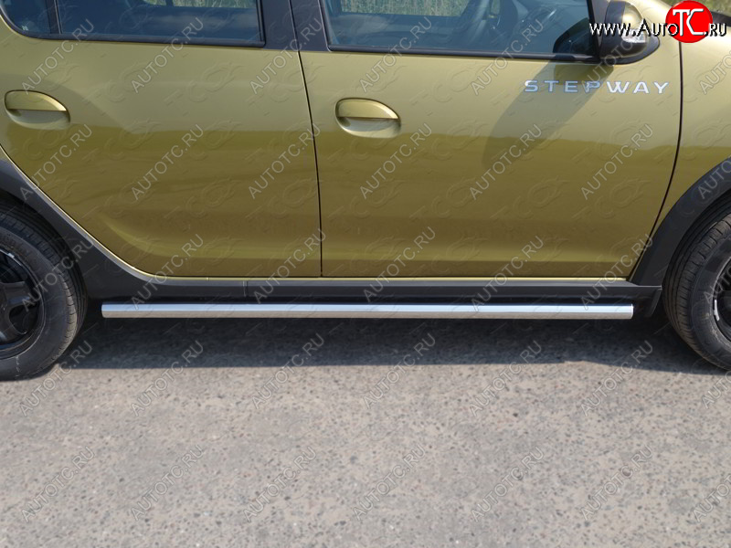 19 599 р. Защита порогов труба d60,3 мм ТСС Тюнинг  Renault Sandero Stepway  (B8) (2014-2018) дорестайлинг (серые)  с доставкой в г. Керчь