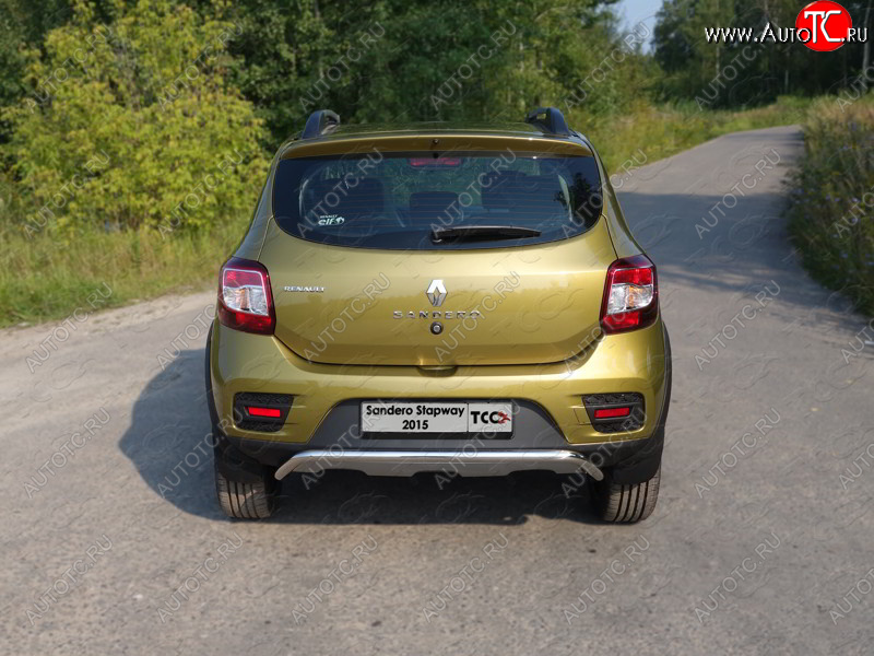 11 749 р. Защита задняя (нержавейка 42,4 мм), ТСС Тюнинг  Renault Sandero Stepway  (B8) (2014-2018) дорестайлинг  с доставкой в г. Керчь