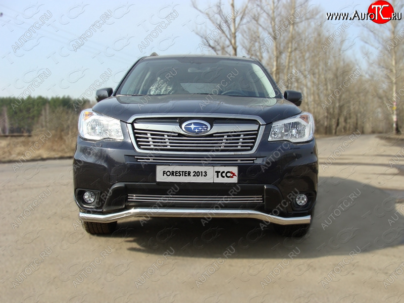 4 299 р. Нижняя декоративная вставка в бампер ТСС Тюнинг Subaru Forester SJ дорестайлинг (2012-2016) (d 12 мм)  с доставкой в г. Керчь