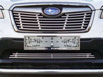 Нижняя декоративная вставка в бампер ТСС Тюнинг Subaru Forester  SK/S14 (2018-2021) дорестайлинг (d 12 мм)