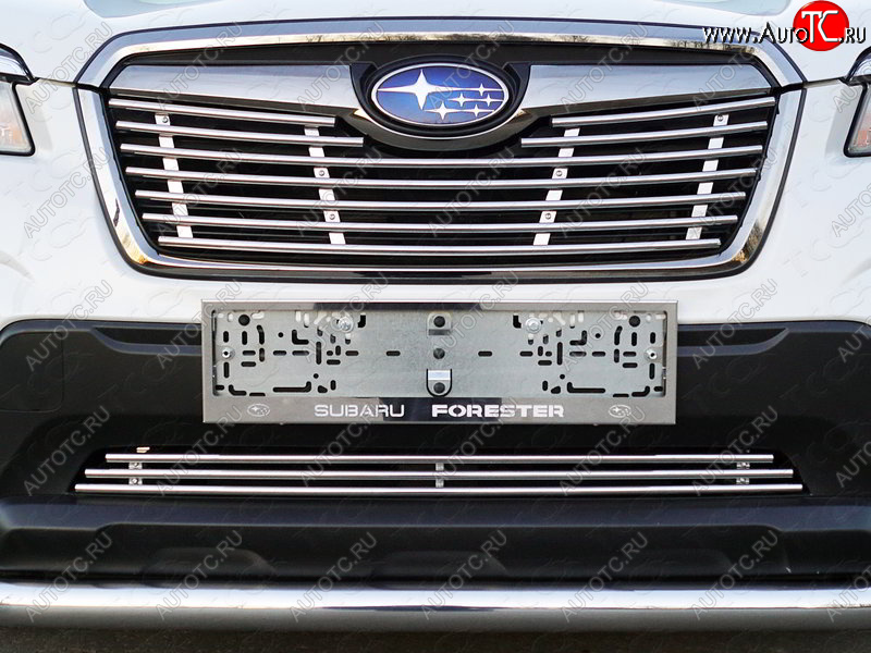 4 999 р. Нижняя декоративная вставка в бампер ТСС Тюнинг  Subaru Forester  SK/S14 (2018-2021) дорестайлинг (d 12 мм)  с доставкой в г. Керчь