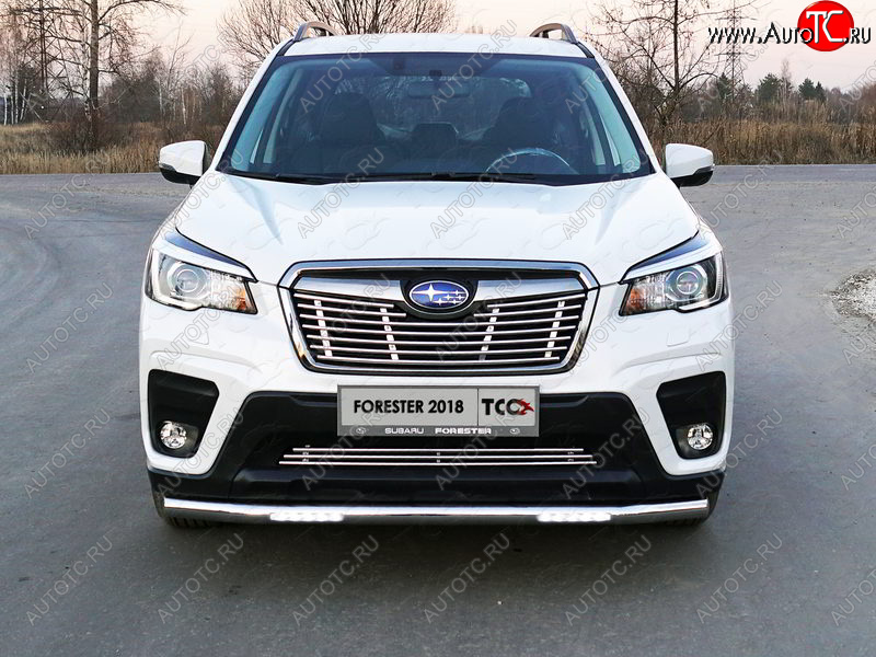 39 749 р. Защита переднего бампера нижняя с ДХО 60,3 мм ТСС Тюнинг  Subaru Forester  SK/S14 (2018-2021) дорестайлинг (нержавейка)  с доставкой в г. Керчь