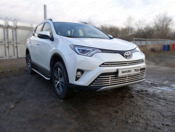 Декоративная вставка переднего бампера ТСС Тюнинг Toyota RAV4  XA40 (2015-2019) 5 дв. рестайлинг (d 16 мм)