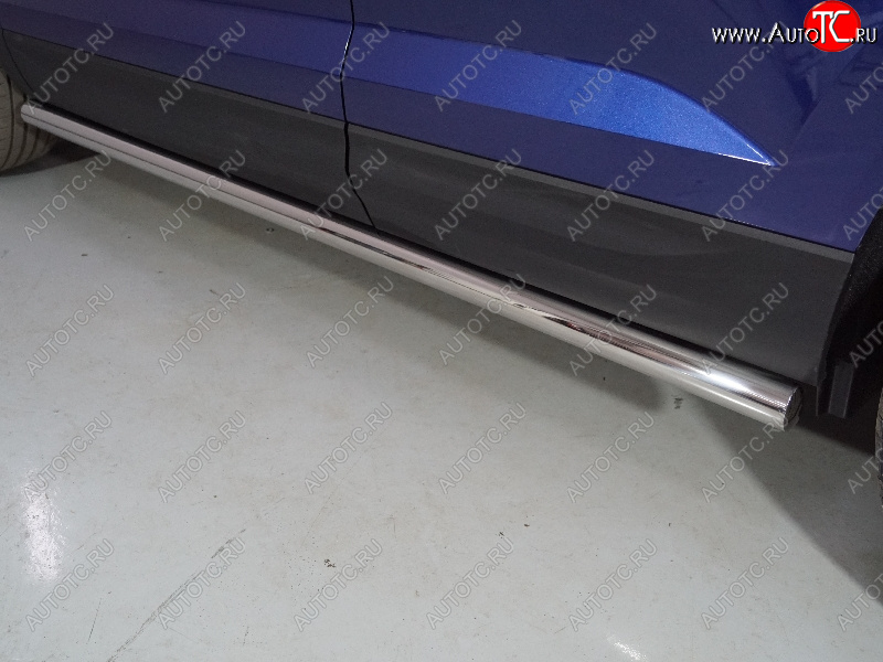 24 949 р. Защита порогов труба d60,3 мм ТСС Тюнинг  Volkswagen Taos (2020-2022) (серые)  с доставкой в г. Керчь