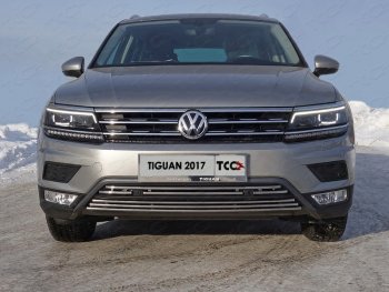 Нижняя декоративная вставка в бампер (пакет Offroad) ТСС Тюнинг Volkswagen Tiguan  Mk2 (2016-2020) дорестайлинг (d 16 мм)