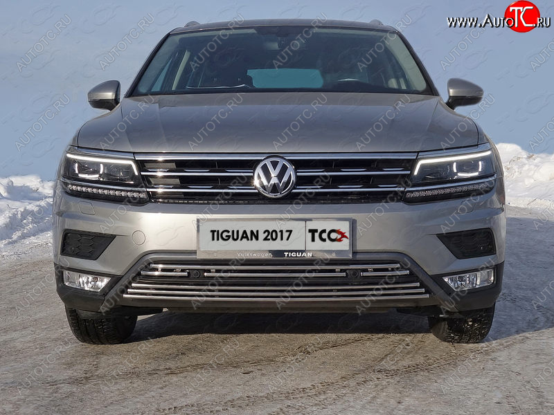 7 349 р. Нижняя декоративная вставка в бампер (пакет Offroad) ТСС Тюнинг  Volkswagen Tiguan  Mk2 (2016-2020) дорестайлинг (d 16 мм)  с доставкой в г. Керчь