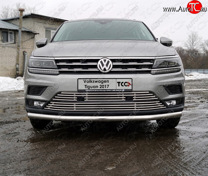 5 999 р. Верхняя декоративная вставка решетки радиатора ТСС Тюнинг Volkswagen Tiguan Mk2 дорестайлинг (2016-2020) (d 12 мм)  с доставкой в г. Керчь