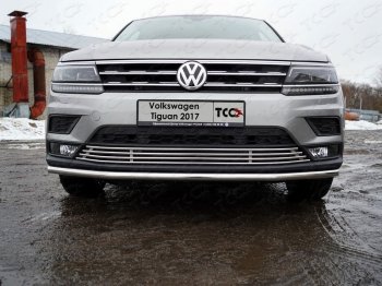 Нижняя декоративная вставка в бампер ТСС Тюнинг Volkswagen Tiguan  Mk2 (2016-2020) дорестайлинг (d 12 мм)