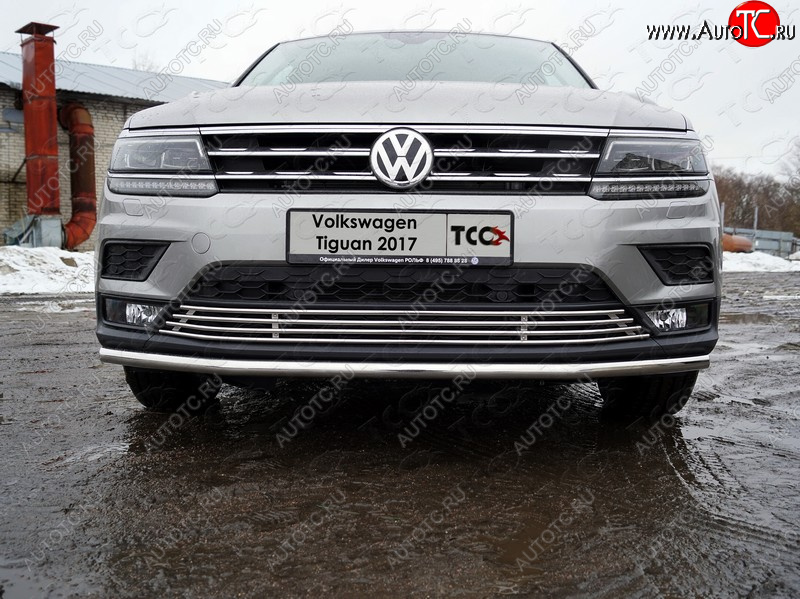 7 349 р. Нижняя декоративная вставка в бампер ТСС Тюнинг  Volkswagen Tiguan  Mk2 (2016-2020) дорестайлинг (d 12 мм)  с доставкой в г. Керчь