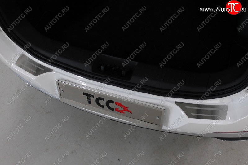3 099 р. Накладки на задний бампер, ТСС Тюнинг  Chery Tiggo 7 PRO (2019-2025) (лист шлифованный с полосой)  с доставкой в г. Керчь