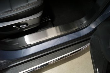 Накладки на пластиковые пороги, ТСС Тюнинг Haval Dargo (2022-2025) (лист шлифованный)