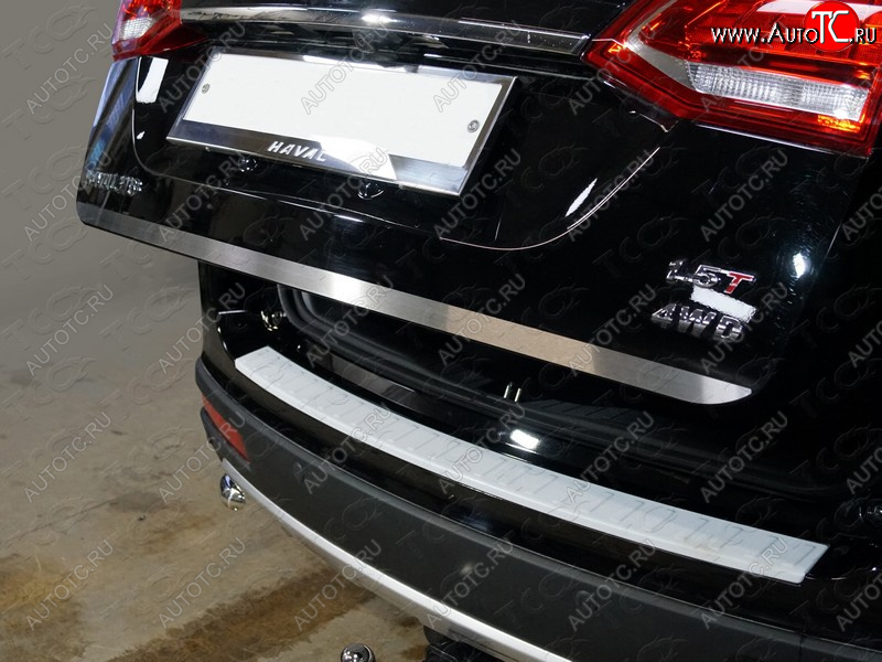 1 749 р. Накладка на заднюю дверь, ТСС Тюнинг  Haval H6 (2013-2020) (Лист шлифованный)  с доставкой в г. Керчь