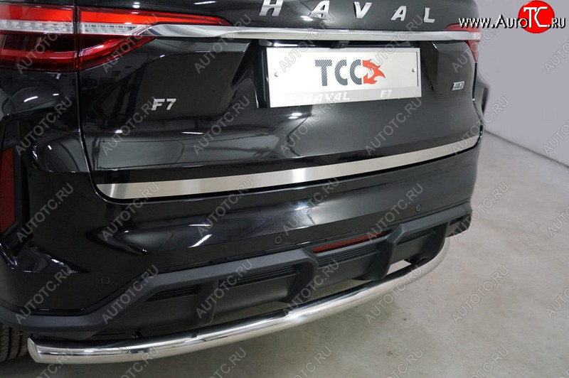 2 199 р. Накладка на заднюю дверь, ТСС Тюнинг  Haval F7 (2022-2024) рестайлинг (Лист шлифованный)  с доставкой в г. Керчь