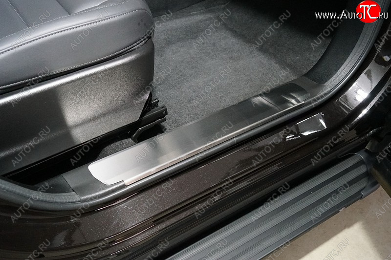 2 989 р. Накладки на пластиковые пороги, ТСС Тюнинг  Haval F7 (2022-2024) рестайлинг (лист шлифованный)  с доставкой в г. Керчь