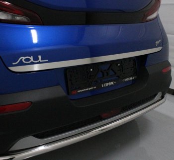 Накладка на заднюю дверь, ТСС Тюнинг KIA Soul  SK3 (2018-2022) (лист шлифованный)