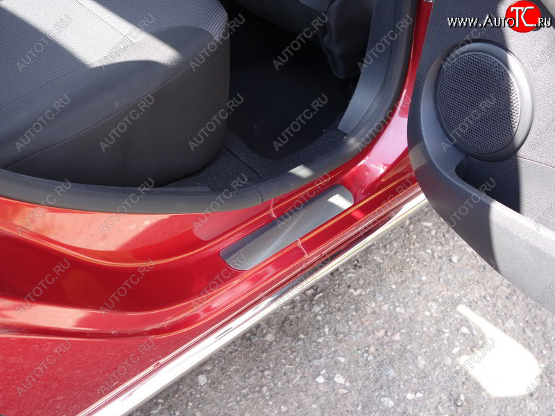 3 999 р. Накладки на пороги, ТСС Тюнинг  Renault Sandero Stepway  (B8) (2018-2022) рестайлинг (лист шлифованный)  с доставкой в г. Керчь