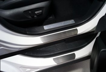 Накладки на пороги, ТСС Тюнинг Toyota Highlander  XU70 (2020-2025) (лист шлифованный)
