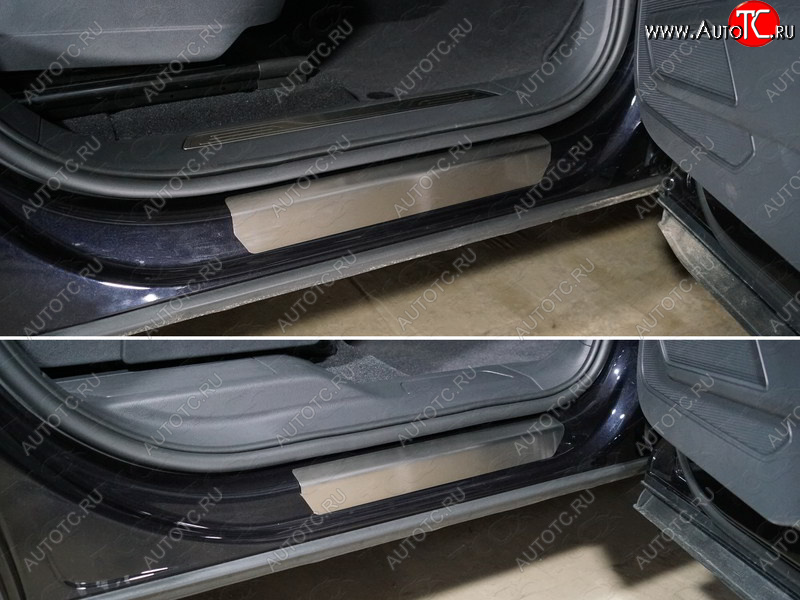 3 999 р. Накладки на пороги, ТСС Тюнинг  Volkswagen Teramont  CA1 (2016-2020) дорестайлинг (лист шлифованный)  с доставкой в г. Керчь