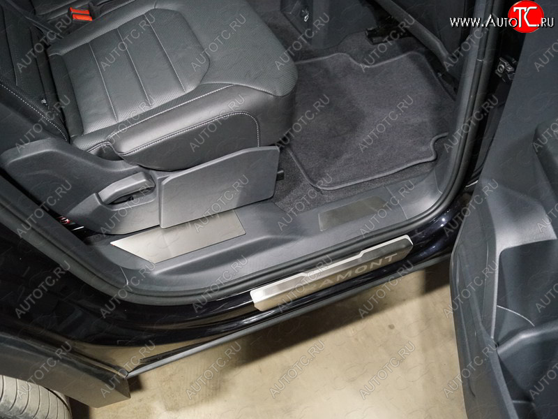 3 999 р. Накладки на пластиковые пороги задние, ТСС Тюнинг  Volkswagen Teramont  CA1 (2016-2020) дорестайлинг (лист шлифованный)  с доставкой в г. Керчь