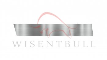Ремкомплект левой двери Wisentbull Nissan Almera  N16 - Sunny  N16