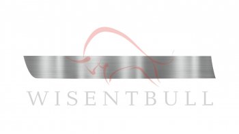 Ремкомплект левой двери Wisentbull Peugeot 3008 (2009-2017) дорестайлинг, рестайлинг