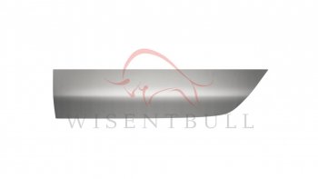 Ремкомплект левой двери Wisentbull Renault Clio  BB - Thalia